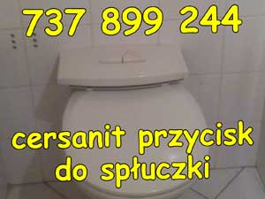 cersanit przycisk do spłuczki
