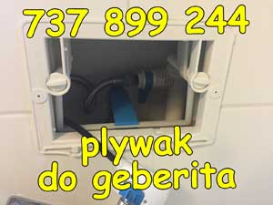 plywak do geberita